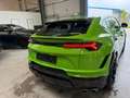 Lamborghini Urus URUS PERFORMANTE FULL CARBON B&O PANO 2025 FULLY Groen - thumbnail 16