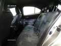 Lexus UX 250h Business Navigation 2WD Gris - thumbnail 11