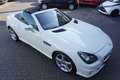 Mercedes-Benz SLK 250 Roadster CDI BlueEfficiency AMG Line Weiß - thumbnail 14