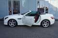 Mercedes-Benz SLK 250 Roadster CDI BlueEfficiency AMG Line Weiß - thumbnail 10