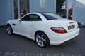 Mercedes-Benz SLK 250 Roadster CDI BlueEfficiency AMG Line Weiß - thumbnail 4