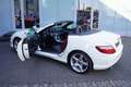 Mercedes-Benz SLK 250 Roadster CDI BlueEfficiency AMG Line Weiß - thumbnail 12