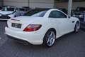 Mercedes-Benz SLK 250 Roadster CDI BlueEfficiency AMG Line Weiß - thumbnail 6