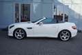 Mercedes-Benz SLK 250 Roadster CDI BlueEfficiency AMG Line Weiß - thumbnail 11