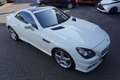 Mercedes-Benz SLK 250 Roadster CDI BlueEfficiency AMG Line Weiß - thumbnail 13