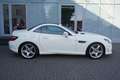 Mercedes-Benz SLK 250 Roadster CDI BlueEfficiency AMG Line Weiß - thumbnail 7
