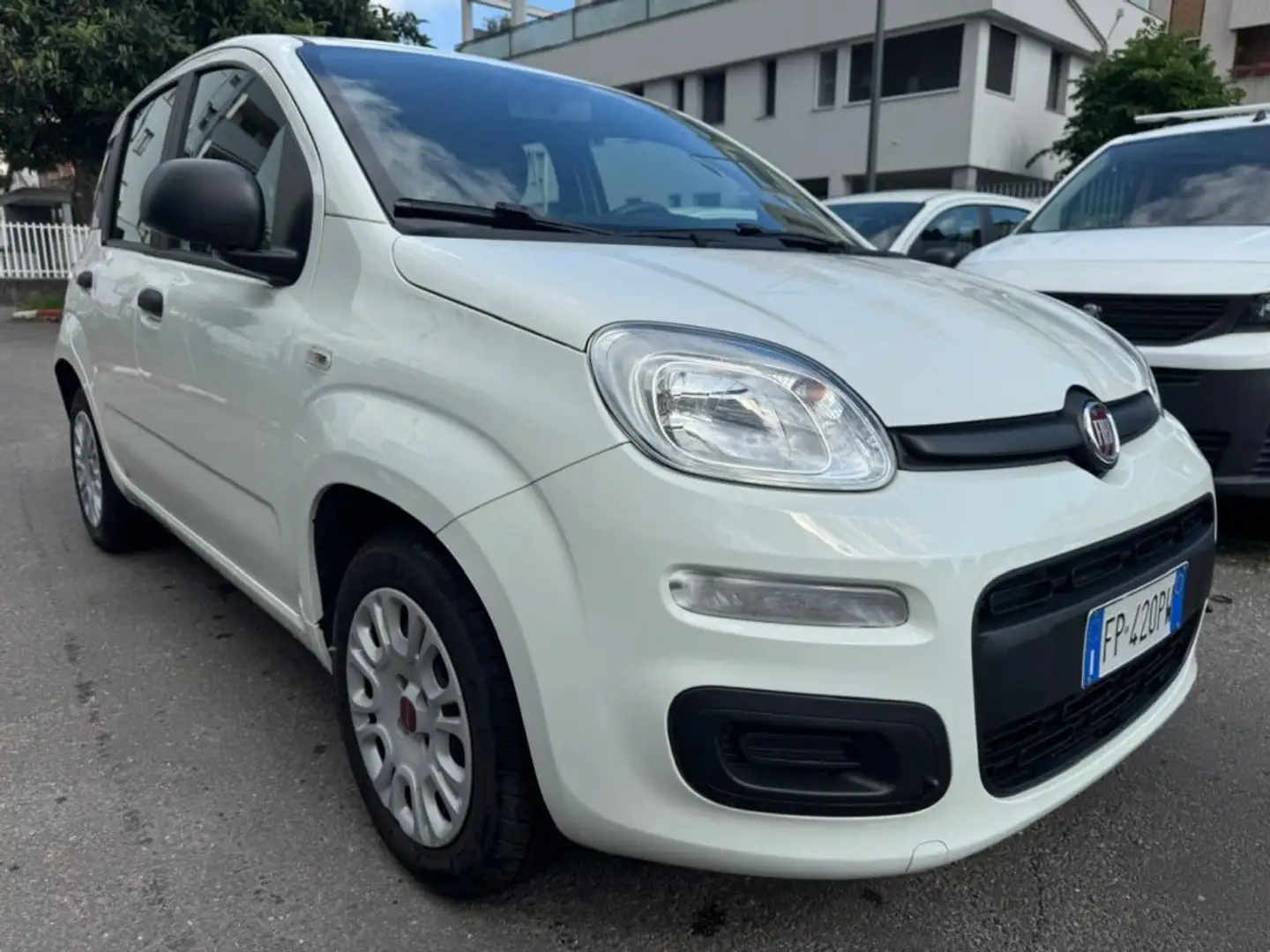 Fiat Panda 1.2 Easy Bianco - 2