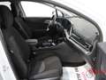 Kia Sportage Sportage 1.6 CRDI 136 CV MHEV DCT7 Style Bianco - thumbnail 6