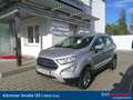 Ford EcoSport 1,0 EcoBoost Titanium Silber - thumbnail 1