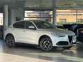 Alfa Romeo Stelvio 2.2 Turbodiesel 190 CV AT8 Q4 Sprint Silber - thumbnail 3