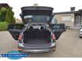 Volkswagen Golf VII Variant Highline1.4 TSI AHK,Navi,Standhzg. Grau - thumbnail 16