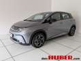 BYD Dolphin Comfort MY2025 Grau - thumbnail 1