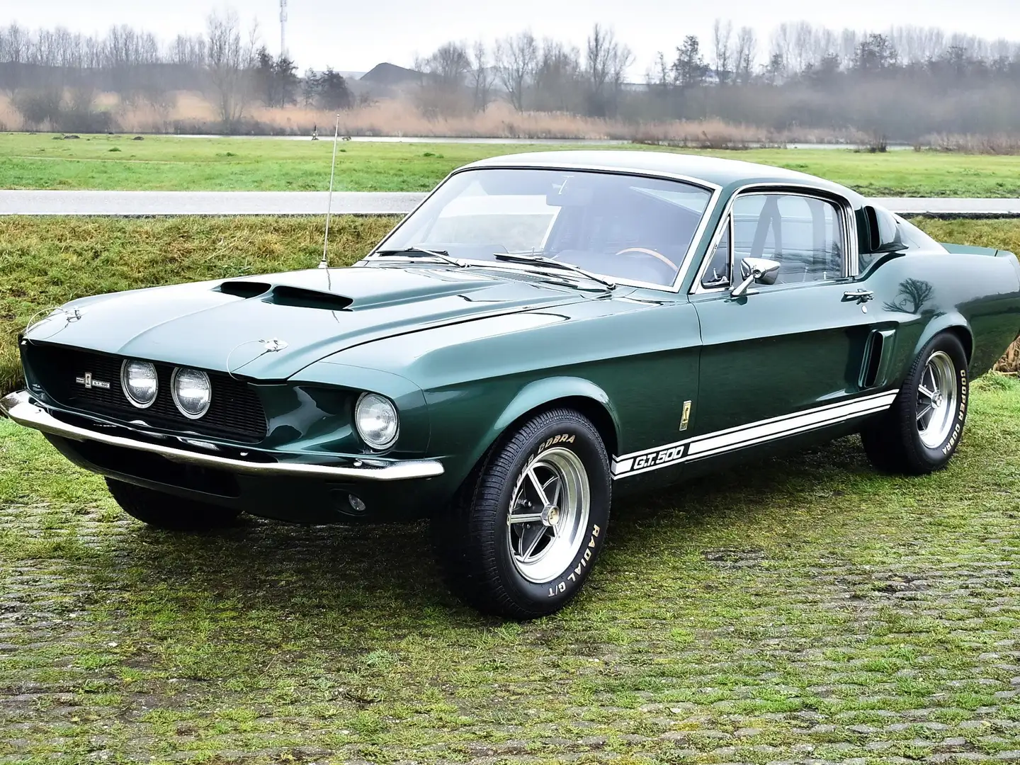 Shelby GT Shelby GT500 Fastback Grün - 1