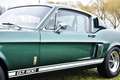 Shelby GT Shelby GT500 Fastback Grün - thumbnail 6