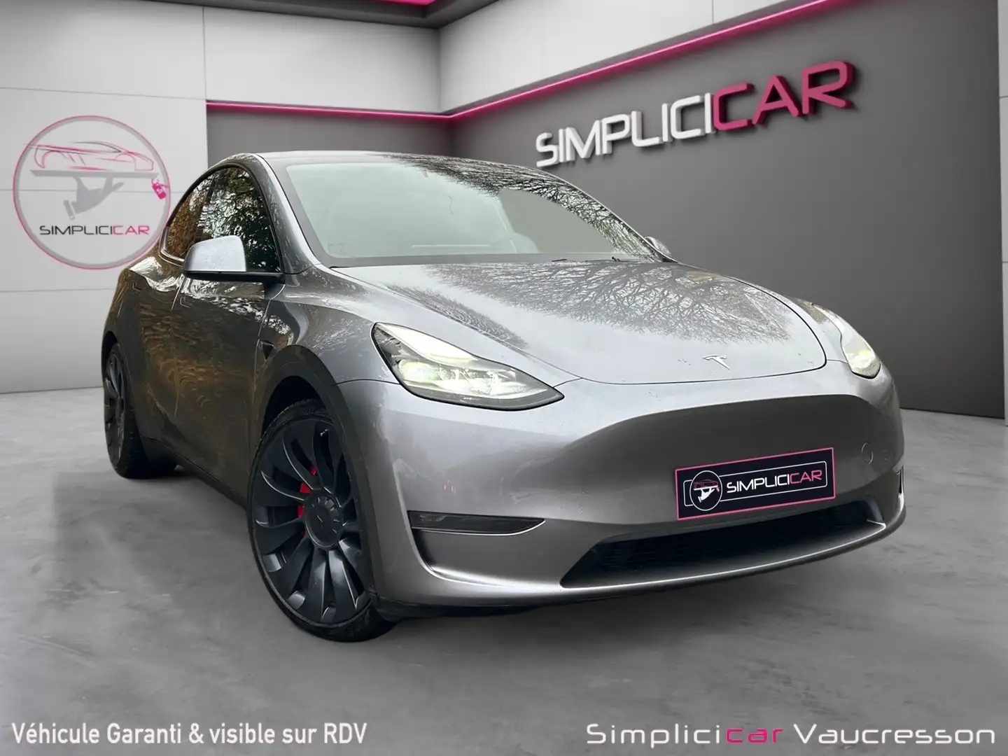 Tesla Model Y PERFORMANCE 534ch QUICKSILVER Gris - 1