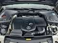 Mercedes-Benz E 220 d AMG Line Premium Plus Grau - thumbnail 34