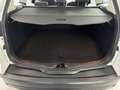 Ford Focus Titanium Weiß - thumbnail 6