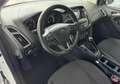 Ford Focus Titanium Weiß - thumbnail 9