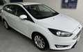 Ford Focus Titanium Weiß - thumbnail 3