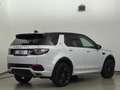 Land Rover Discovery Sport AWD Leder Xenon Navi Kamera 1.Hd Bianco - thumbnail 6