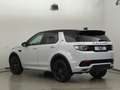 Land Rover Discovery Sport AWD Leder Xenon Navi Kamera 1.Hd Bianco - thumbnail 8
