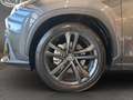 Lexus NX 450h+ NX 450h+ 2.5 phev Premium+ 4wd 309cv e-cvt Grau - thumbnail 5