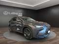 Lexus NX 450h+ NX 450h+ 2.5 phev Premium+ 4wd 309cv e-cvt Grau - thumbnail 2