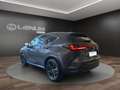 Lexus NX 450h+ NX 450h+ 2.5 phev Premium+ 4wd 309cv e-cvt Grau - thumbnail 4