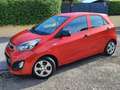 Kia Picanto Picanto II 20111.0 City 5p Rosso - thumbnail 1