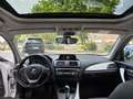 BMW 116 116d Urban 5p auto Bianco - thumbnail 11