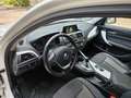 BMW 116 116d Urban 5p auto Bianco - thumbnail 15