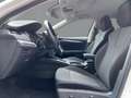 Skoda Octavia Combi Style 2.0 TDI DSG AHK Sitzheizung Weiß - thumbnail 7