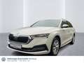 Skoda Octavia Combi Style 2.0 TDI DSG AHK Sitzheizung Weiß - thumbnail 1