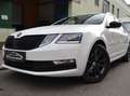 Skoda Octavia Style Limited 4x4 DSG Weiß - thumbnail 1