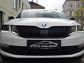 Skoda Octavia Style Limited 4x4 DSG Weiß - thumbnail 3