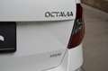 Skoda Octavia Style Limited 4x4 DSG Weiß - thumbnail 7