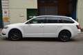 Skoda Octavia Style Limited 4x4 DSG Weiß - thumbnail 4
