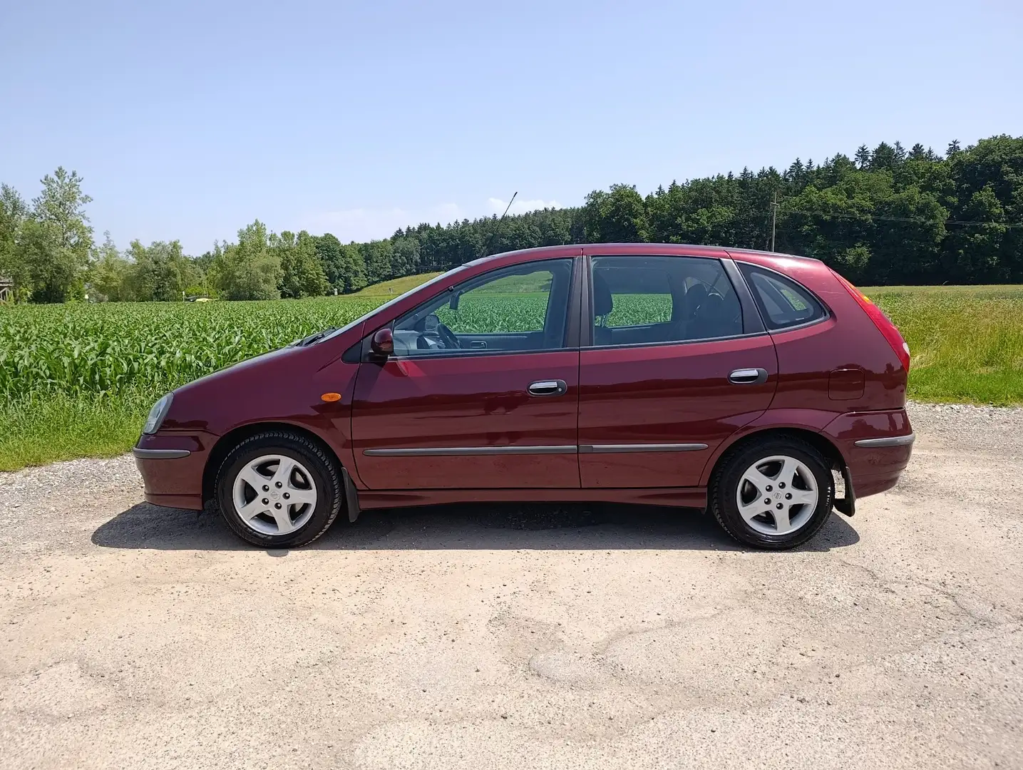 Nissan Almera Tino Aut. acenta - 1