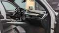BMW X5 40d xD*PANO*HEAD-UP*SOFT-CLOSE*LED*FOND-ENTER Weiß - thumbnail 20