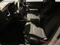 Kia Ceed / cee'd Vision 1.5T-GDI Komfort-Plus-Paket Weiß - thumbnail 7
