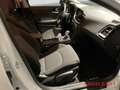 Kia Ceed / cee'd Vision 1.5T-GDI Komfort-Plus-Paket Weiß - thumbnail 11