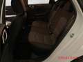 Kia Ceed / cee'd Vision 1.5T-GDI Komfort-Plus-Paket Weiß - thumbnail 12