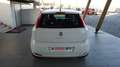 Fiat Punto 1.2 8V 5 porte Young Bianco - thumbnail 4