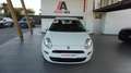Fiat Punto 1.2 8V 5 porte Young Bianco - thumbnail 8