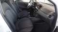 Fiat Punto 1.2 8V 5 porte Young Bianco - thumbnail 23