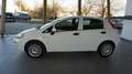 Fiat Punto 1.2 8V 5 porte Young Bianco - thumbnail 2