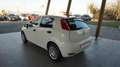 Fiat Punto 1.2 8V 5 porte Young Bianco - thumbnail 3