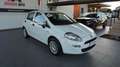 Fiat Punto 1.2 8V 5 porte Young Bianco - thumbnail 7