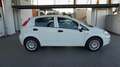 Fiat Punto 1.2 8V 5 porte Young Bianco - thumbnail 6