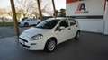 Fiat Punto 1.2 8V 5 porte Young Bianco - thumbnail 1